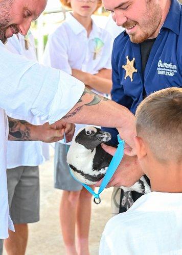 mobile - carousel-hero-element image-6